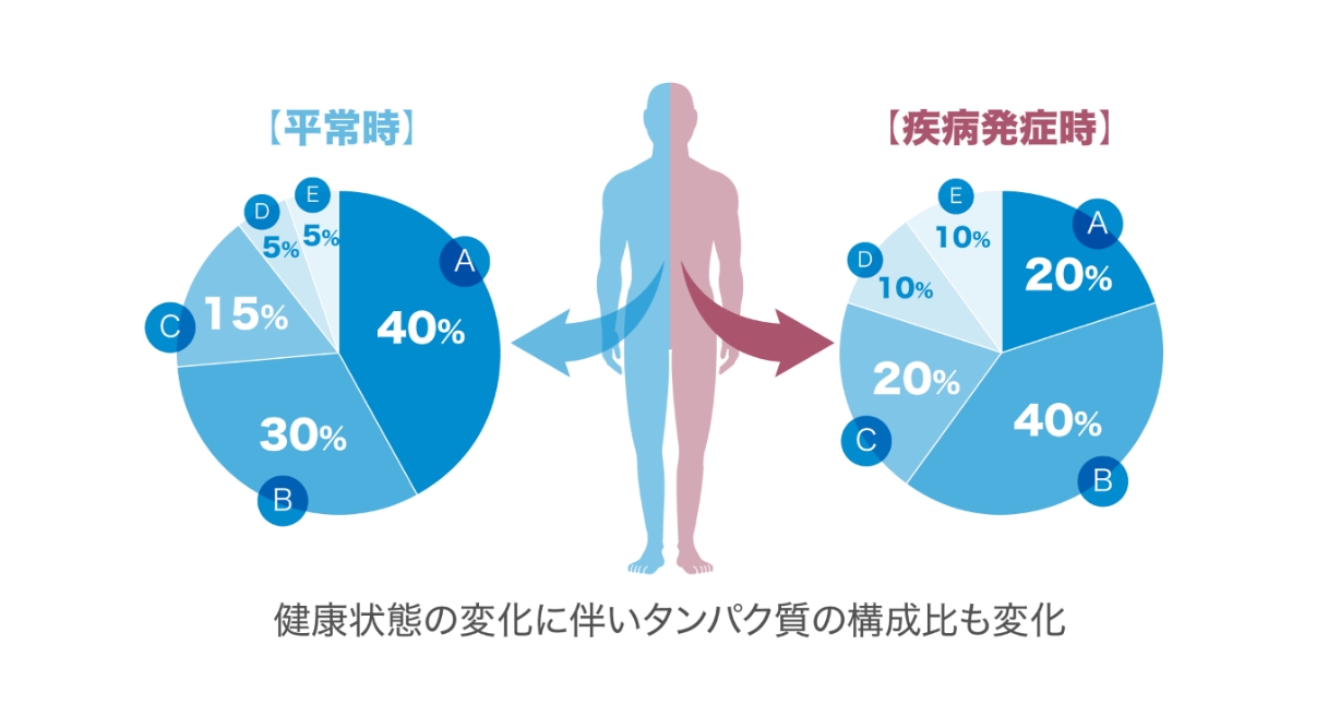 タンパク質の解析と疾病リスク予測